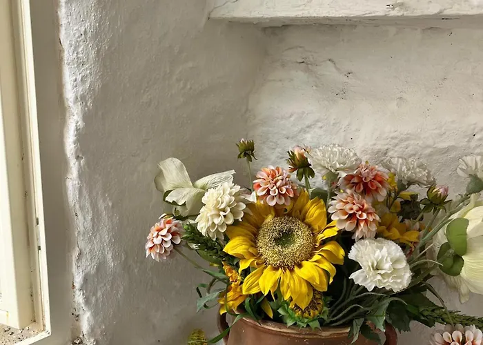 別荘 Salento Magic アレッサーノ